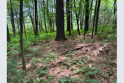 Tbd Garden Dr, Siren, WI 54872 - Photo 13