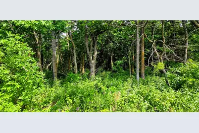 Tba Lot B, Warroad, MN 56763 - Photo 7