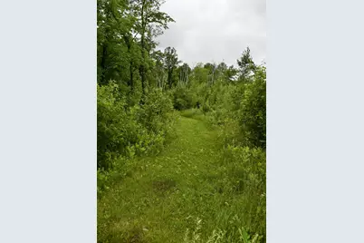 13591 230th Street, Milaca, MN 56353 - Photo 81