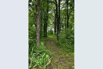 13591 230th Street, Milaca, MN 56353 - Photo 85