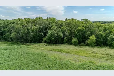 Tbd Cardinal Road, Swanville, MN 56382 - Photo 11