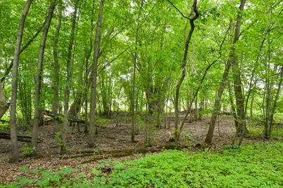 19231 Highwood Shores Road, Pine City, MN 55063 - Photo 3