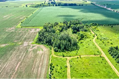 Tbd 555th St, Rush City, MN 55069 - Photo 9