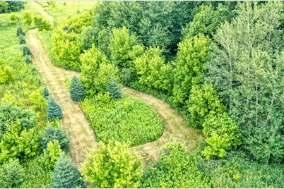 Tbd 555th St, Rush City, MN 55069 - Photo 3