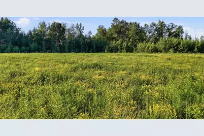 Tbd Florence Dr, Moose Lake, MN 55767 - Photo 3