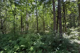 36684 100th Ave, Onamia, MN 56359 - Photo 41