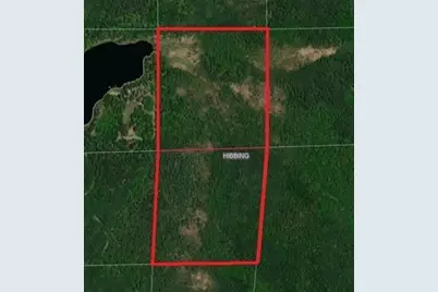 Tbd S Town Line Rd, Hibbing, MN 55746 - Photo 1