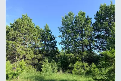 Tbd 372nd St, Menahga, MN 56464 - Photo 3