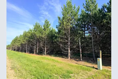 Tbd Lita Lane, Menahga, MN 56464 - Photo 3