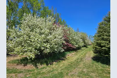 25759 State Highway 55, Lowry, MN 56349 - Photo 103
