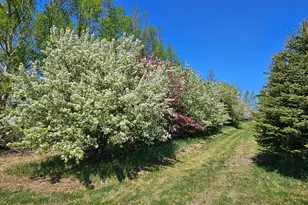 25759 State Hwy 55, Lowry, MN 56349 - Photo 103