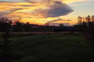 25759 State Hwy 55, Lowry, MN 56349 - Photo 99