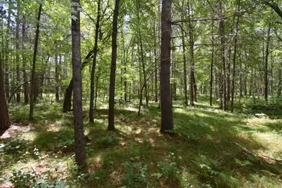 Lot 2 Saylors Lane, Siren, WI 54872 - Photo 9