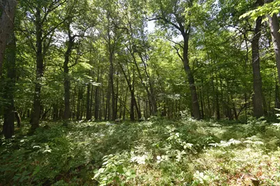 Lot 2 Saylors Lane, Siren, WI 54872 - Photo 7