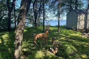 20796 326th Pl, Isle, MN 56342 - Photo 21