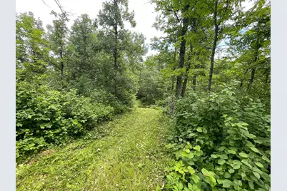 Tbd Boot Lake Road SW, Bemidji, MN 56601 - Photo 33
