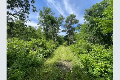 Tbd Boot Lake Road SW, Bemidji, MN 56601 - Photo 21