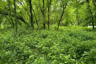 Tbd NE 4th St, Glenwood, MN 56334 - Photo 1