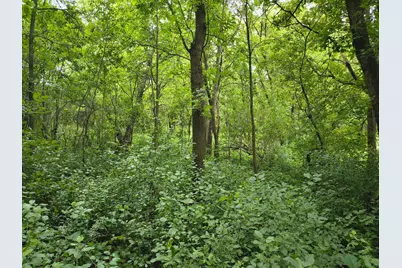 Tbd NE 4th St, Glenwood, MN 56334 - Photo 3