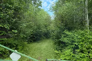000 County Rd 56, Nashwauk, MN 55769 - Photo 1