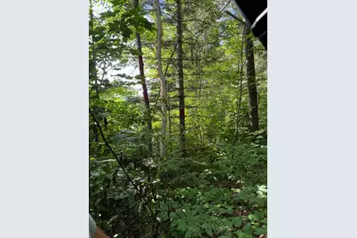 000 County Rd 56, Nashwauk, MN 55769 - Photo 5