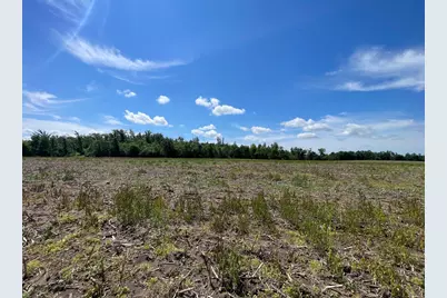 Tbd2 Boot Lake Road SW, Bemidji, MN 56601 - Photo 45