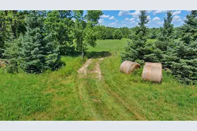 5583 280th Street, Cushing, MN 56443 - Photo 15