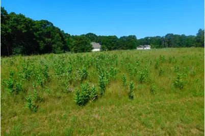 20042 Wild Rice Drive NE, Wyoming, MN 55092 - Photo 41