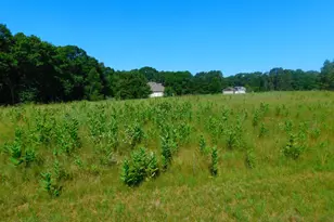 20042 Wild Rice Dr NE, Wyoming, MN 55092 - Photo 41