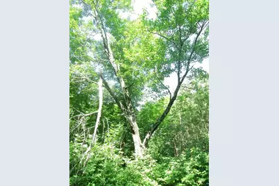 6810 Northeast Road, Wright, MN 55798 - Photo 21