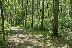 26193 Old Mill Rd, Merrifield, MN 56465 - Photo 53