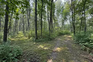 26193 Old Mill Rd, Merrifield, MN 56465 - Photo 57
