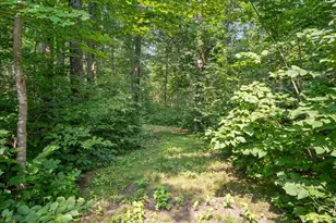 26193 Old Mill Rd, Merrifield, MN 56465 - Photo 51