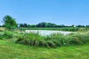 26463 Olinda Trail, Lindstrom, MN 55045 - Photo 33