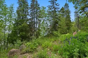 828 Slater Dr, Beaver Bay, MN 55614 - Photo 39