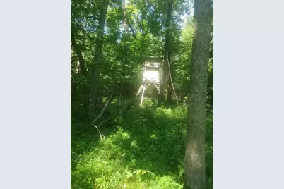 37451 Jasper Street NW, Dalbo, MN 55017 - Photo 41