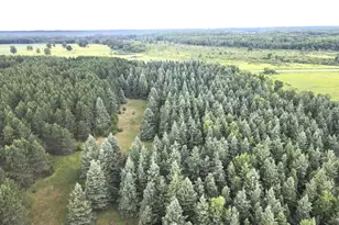 Tbd-20Ac Sleepy Hollow Rd, Brainerd, MN 56401 - Photo 1