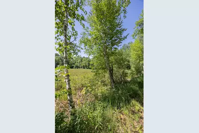Tbd County 5, Hackensack, MN 56452 - Photo 3