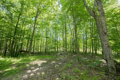 Tbd County 5, Hackensack, MN 56452 - Photo 7