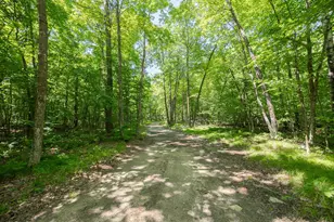 Tbd County 5, Hackensack, MN 56452 - Photo 1