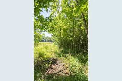 Tbd County 5, Hackensack, MN 56452 - Photo 5