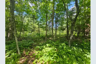 Tbd Cedar Shores Drive, Deerwood Township, MN 56444 - Photo 5
