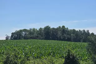 00 110 St, Frederic, WI 54837 - Photo 1