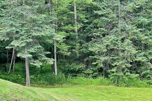18010 480th Ln, McGregor, MN 55760 - Photo 29