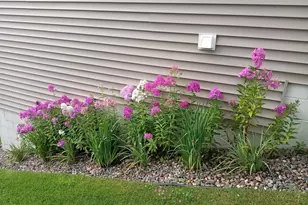 11337 16th Pl NE, Saint Michael, MN 55376 - Photo 27
