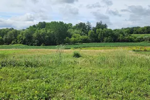 1042 3rd St, Wanamingo, MN 55983 - Photo 1