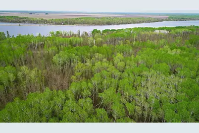 Lot 7 - Tbd Driftwood Lane NW, Baudette, MN 56623 - Photo 3