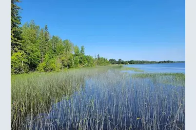 Lot 8 - Tbd Driftwood Lane NW, Baudette, MN 56623 - Photo 15