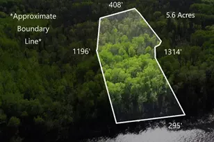 Lot 11 - Tbd Driftwood Ln NW, Baudette, MN 56623 - Photo 1