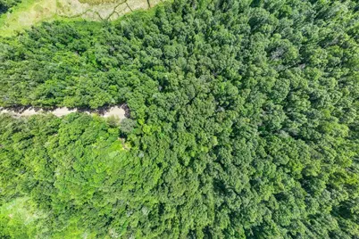 Tbd Lot B Hidden Pond Lane, Pequot Lakes, MN 56472 - Photo 7
